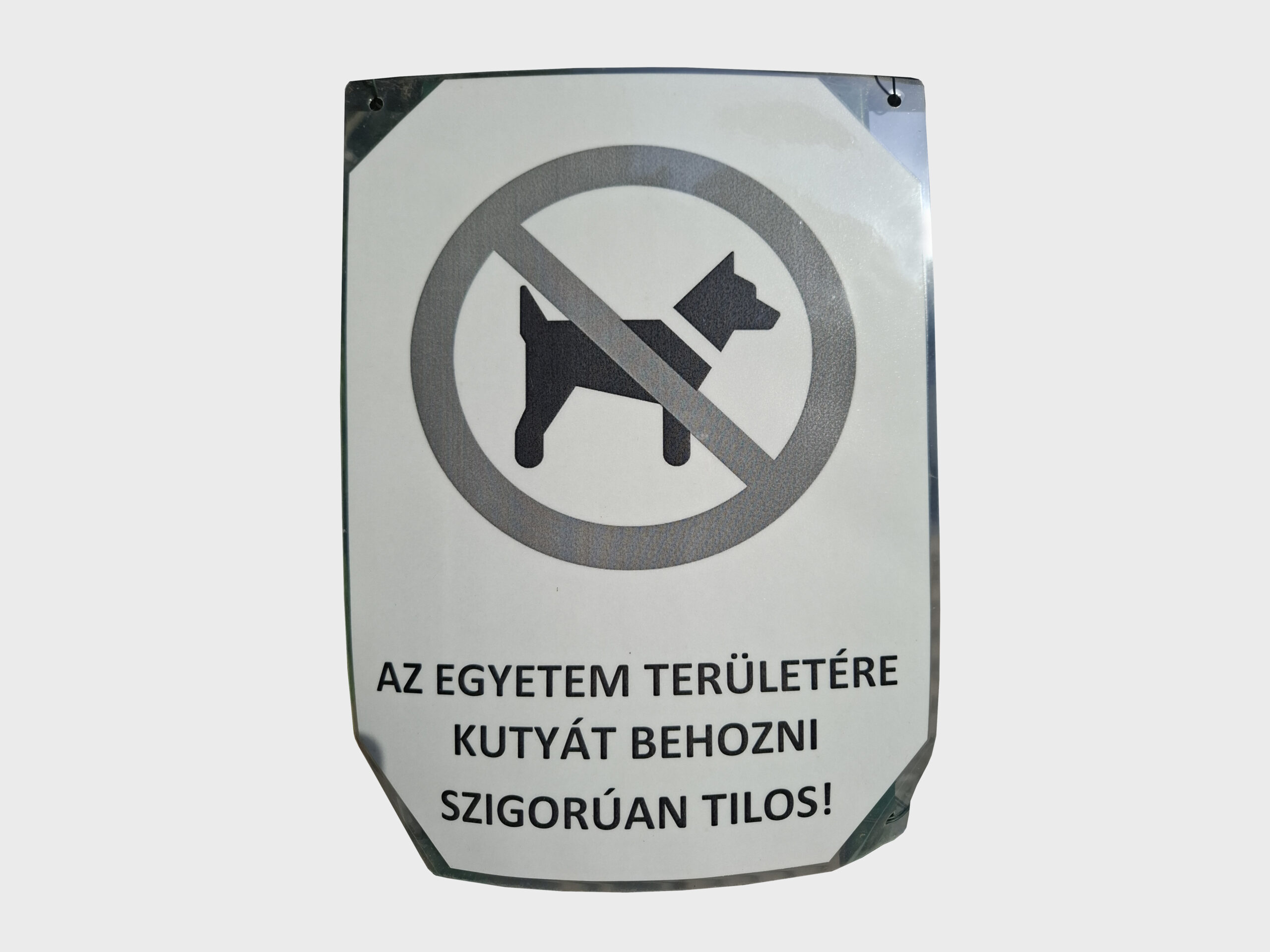 Törekvés az észszerű kutyatartási rendért